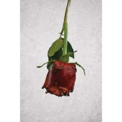 ARTIDEE | CREARTEC Immersion Rust - Set -Painting Tool Store ARTIDEE7CCREARTECImmersionRust set 3