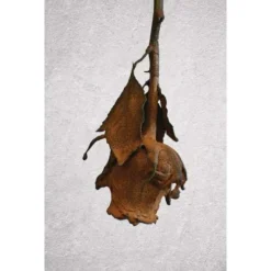 ARTIDEE | CREARTEC Immersion Rust - Set -Painting Tool Store ARTIDEE7CCREARTECImmersionRust set 5