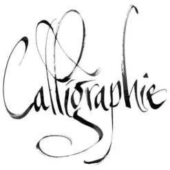 Brause Calligraphy Learning Boxes -Painting Tool Store BrauseCalligraphyLearningBoxes 4