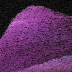 Caran D'Ache Luminance 6901 Colour Pencil Gift Set 11 Caran D'Ache Luminance 6901 Colour Pencil Gift Set -Painting Tool Store Carand26230393BAcheLuminance6901ColourPencilGiftSet 5