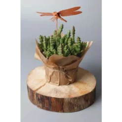 Creartec Dipping Metal -Painting Tool Store CreartecDippingMetal 2