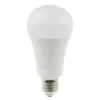 Daylight Energy Saving Bulbs