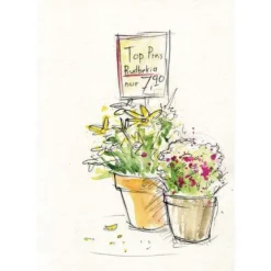 Faber Castell Watercolour Sets -Painting Tool Store FaberCastellWatercolourSets 3