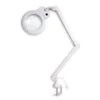 Native Lighting | Chameleon Magnifying Lamp - Table Light