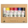 Old Holland | CLASSIC Oil Paint — Introductory 6-set