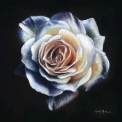 PanPastel Kirsty Rebecca Set 7 PanPastel Kirsty Rebecca Set -Painting Tool Store PanPastelKirstyRebeccaSet 3