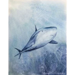 Schmincke Horadam Watercolours Super Granulating Special Colours -Painting Tool Store SchminckeHoradamWatercoloursSuperGranulatingSpecialColours 3